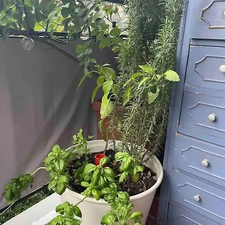 Casamore Privacy E Panorama Comodo A Tutti I Servizi Silenzioso Posto Auto E Box Per Auto Piccole E Moto, Si Accede Attraverso Scale Apartment