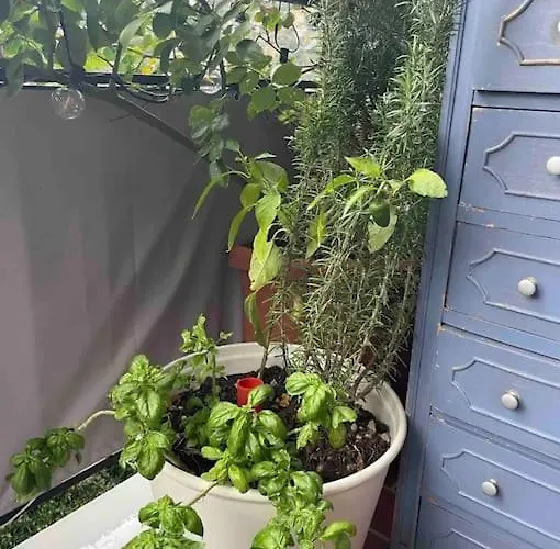 Casamore Privacy E Panorama Comodo A Tutti I Servizi Silenzioso Posto Auto E Box Per Auto Piccole E Moto, Si Accede Attraverso Scale Lägenhet