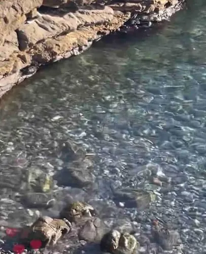 Casamore Privacy E Panorama Comodo A Tutti I Servizi Silenzioso Posto Auto E Box Per Auto Piccole E Moto, Si Accede Attraverso Scale Recco